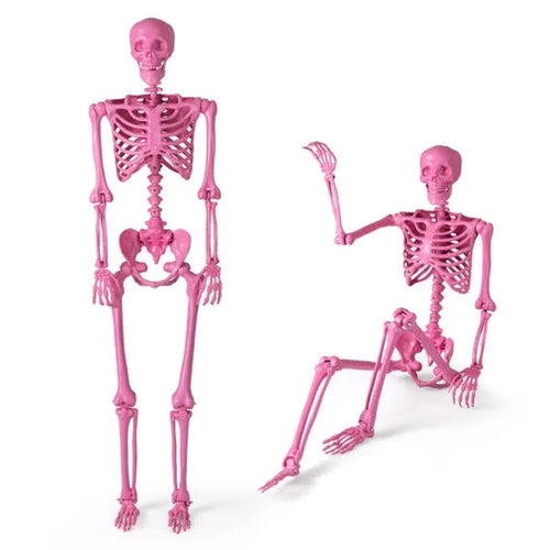 5.5ft Life-Size Pre-Lit Halloween Skeleton